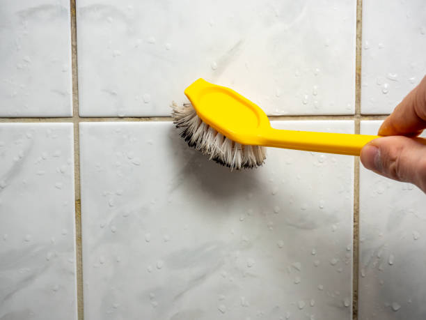 Best Emergency Mold Remediation in Talpa, NM