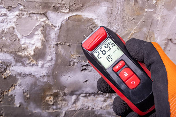 Best Mold Remediation for Specific Building Types in Talpa, NM
